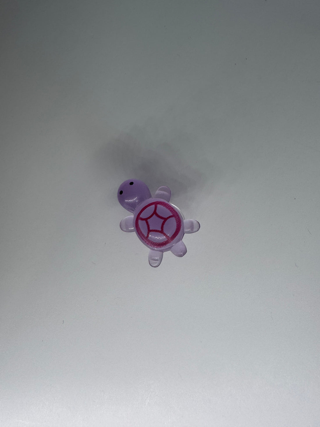 Glow in the Dark Turtle