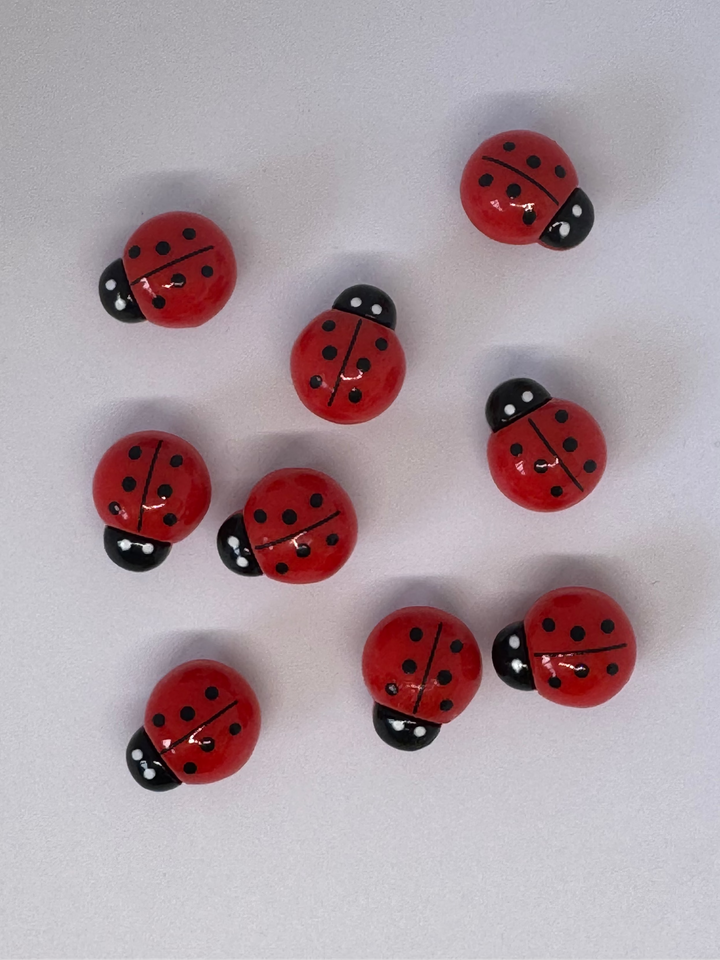 Homecrafted Lady Bug Charm