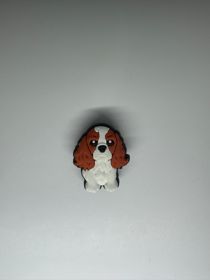 Cavalier King Charles Spaniel Pup Charm