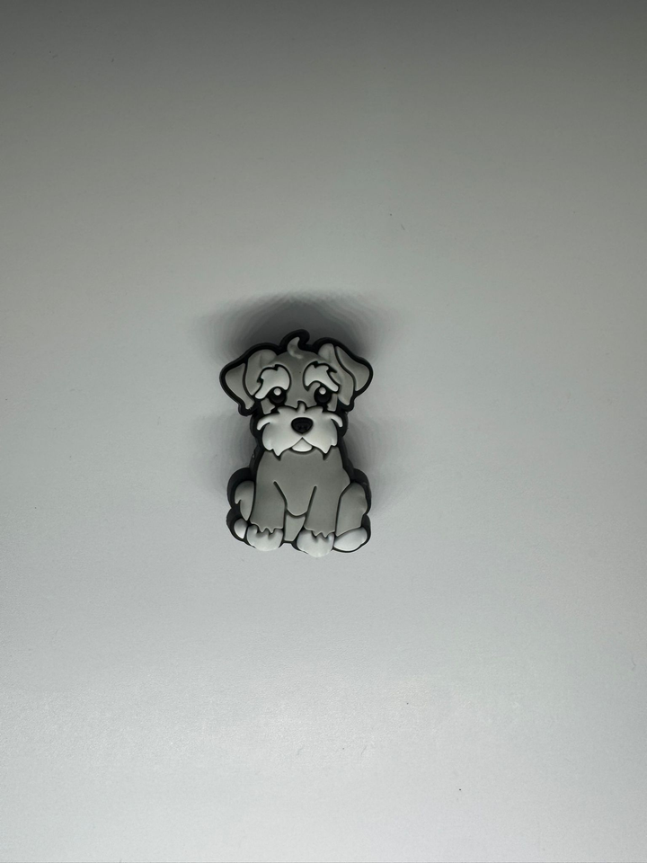 Schnauzer Puppy Charm