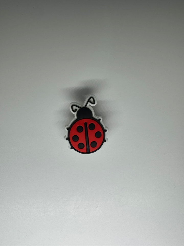 Ladybug Charm